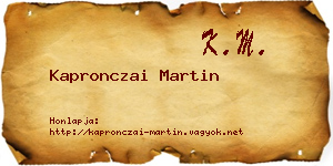 Kapronczai Martin névjegykártya